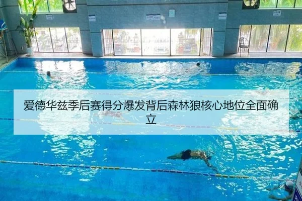 爱德华兹季后赛得分爆发背后森林狼核心地位全面确立
